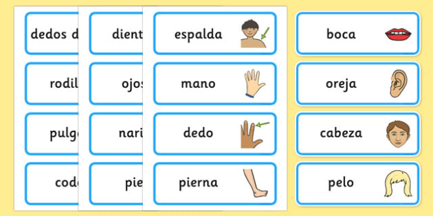 Spanish Parts Of The Body Word Cards Teacher Made 