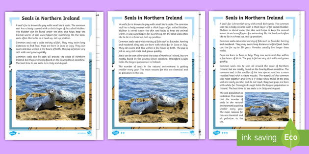 Seals in Northern Ireland Differentiated Comprehension Challenge Sheet - NI