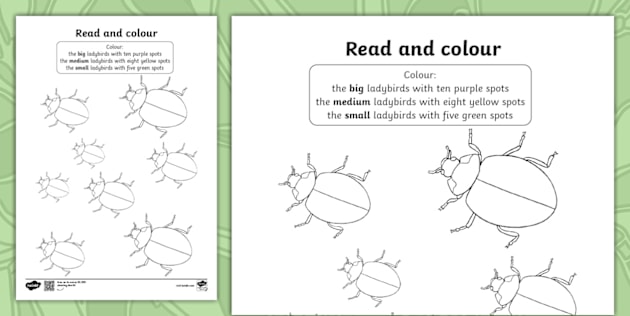 ladybirdページ Ladybird Read and Colour Worksheet - Twinkl