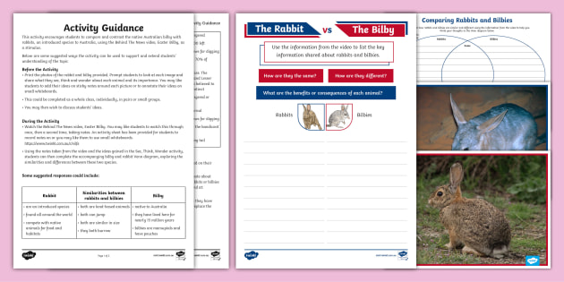 The Rabbit vs The Bilby Venn Diagram Activity (Teacher-Made)
