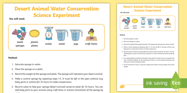 FREE! - Animals Conserving Water Science Experiment - Twinkl