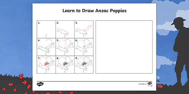 Anzac poppy drawing Anzac poppy drawing
