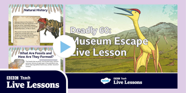 FREE! - Natural History Museum PowerPoint | BBC Teach | Twinkl
