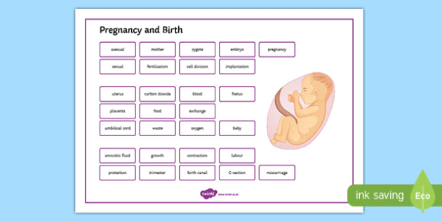 pregnancy-and-birth-word-mat-creat-de-profesori