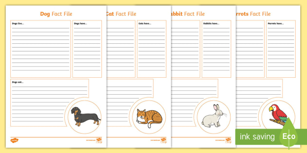 puppy care sheet