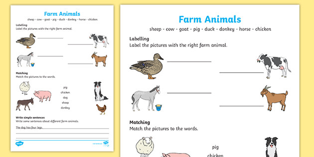 Farm Animals For Kids Worksheet | Twinkl Primary Resources