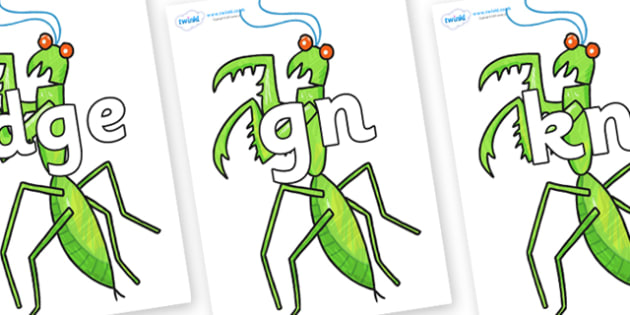 on praying mantis to support teaching on the bad tempered lady