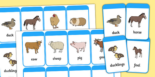 Mothers and their Young Farm Animals Flash Cards - farm 
