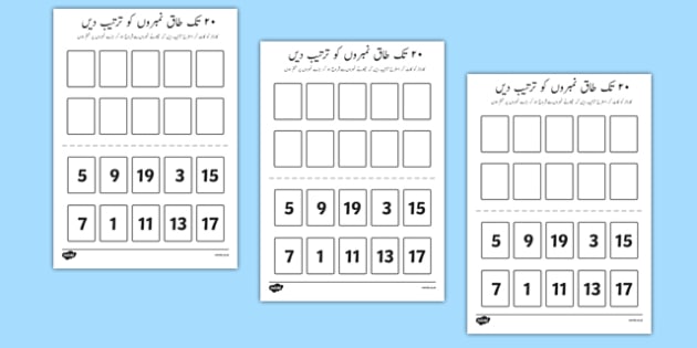 number ordering odd numbers to 20 activity urdu