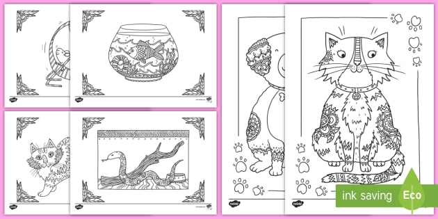 free  pets mindfulness coloring sheets teacher made