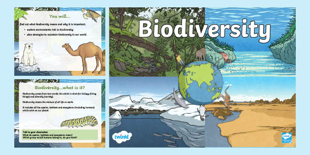 Biodiversity lesson Plan - Information PowerPoint - Twinkl