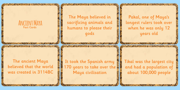 mayan science infographic