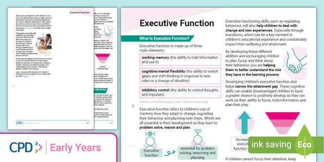 Executive Function EYFS Practitioner Support CPD Twinkl