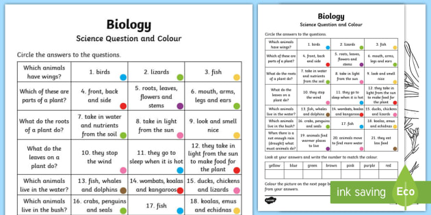 year 1 biological science questions and colouring