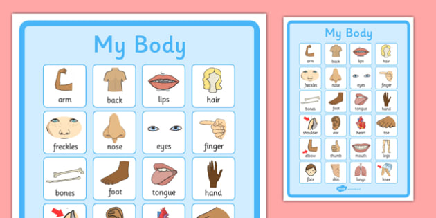 My Body Vocabulary Poster Teacher Made 2946