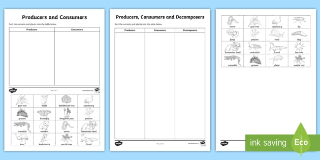 Free Printable Worksheets On Producers And Consumers