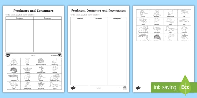 Producer Consumer Decomposer Worksheets