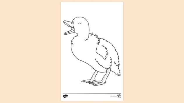 Baby Ducklings Drawing  ClipArt Best
