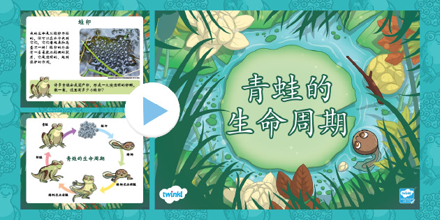 ma-s-1722935381-qing-wa-de-