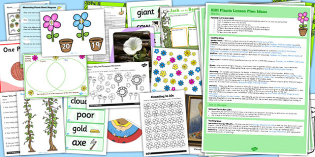 KS1 Plants Lesson Ideas and Resource Pack (teacher made)