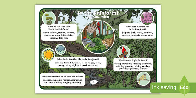 KS1 In The Rainforest Descriptive Word Mat (teacher Made)