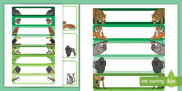 Editable Jungle and Rainforest Tray Labels
