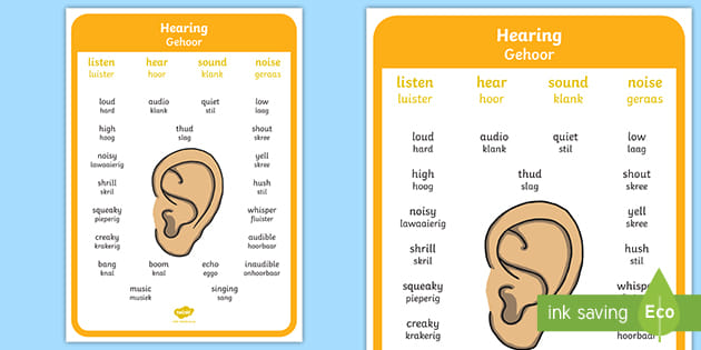 hearing-vocabulary-display-poster