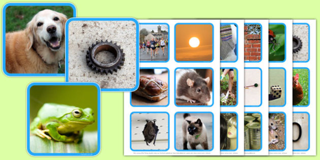 Photo Rhyming String Cards - photo, rhyming string, cards, rhyming, string