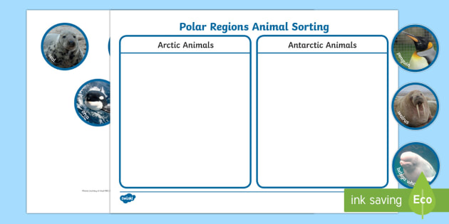 Polar Regions Animal Sorting Activity - The Arctic, Polar Regions, north