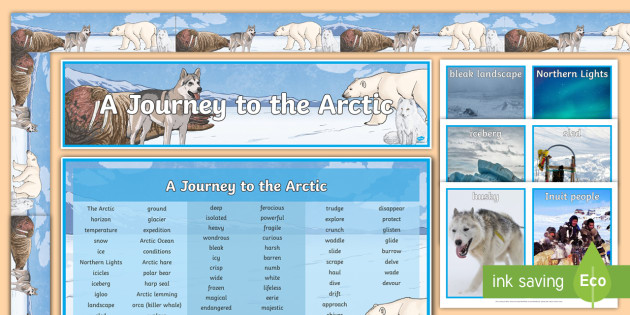 The Arctic Activities For Kids Twinkl Homework Help The Arctic Activities For Kids Twinkl Homework Help
