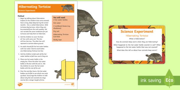 EYFS Hibernating Tortoise Science Experiment and Prompt Card Pack