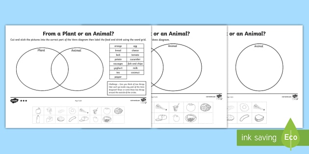 KS1 Plant and Animal Sorting Activity - Teaching Resources