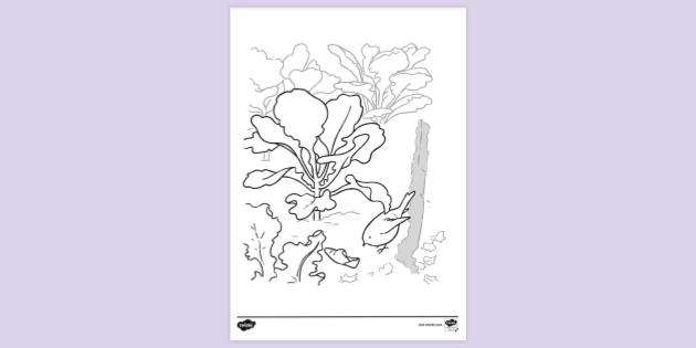 Robin and Shoe Colouring Sheet