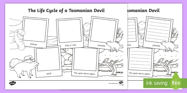 Life Cycle of a Tasmanian Devil Writing Frame