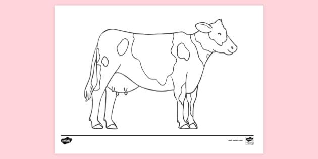 FREE! - Cow Colouring Sheet | Colouring Sheets