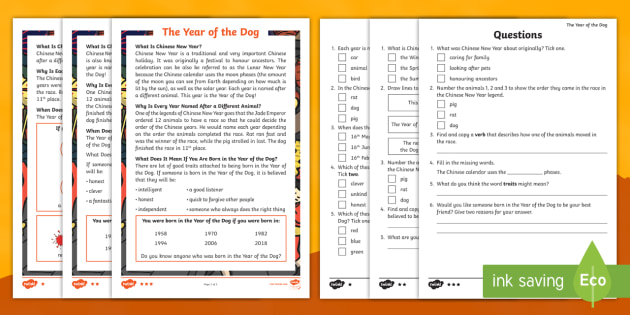 FP The Year of the Dog Differentiated Reading Comprehension Activity