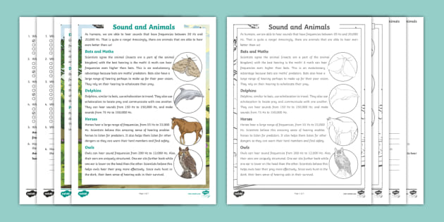 fifth grade sound and animals reading comprehension activity