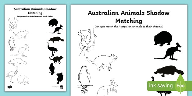 australian-animals-shadow-matching-teacher-made-twinkl for Animal Shadow Matching Free Printable Australian Animals Shadow Matching (teacher made) - Twinkl for Animal Shadow Matching Free Printable