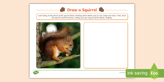 Draw the Squirrel Art Activity (teacher made)