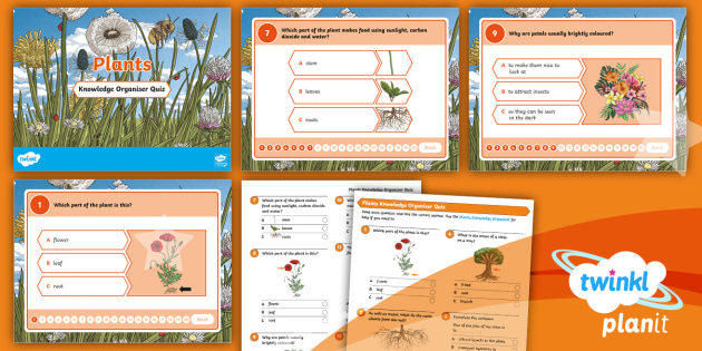 Science Plants Year 3 Knowledge Organiser Quiz Pack 8604