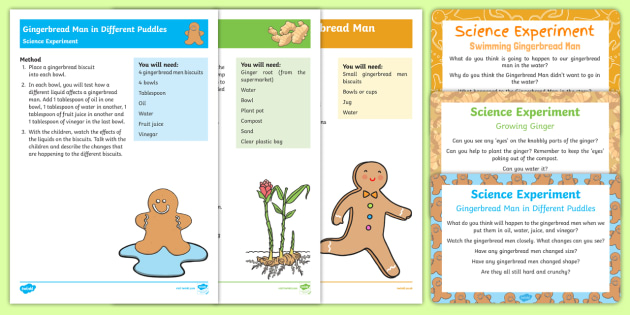 Eyfs The Gingerbread Man Science Experiments Resource Pack