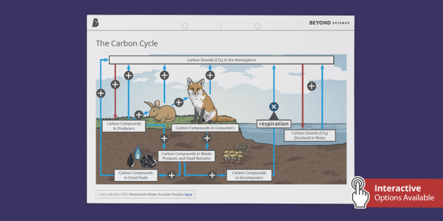 GCSE The Carbon Cycle Hotspot Science Beyond Secondary