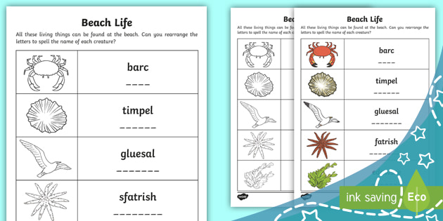 beach life anagrams worksheet worksheet teacher made