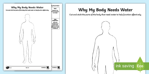 water body research paper