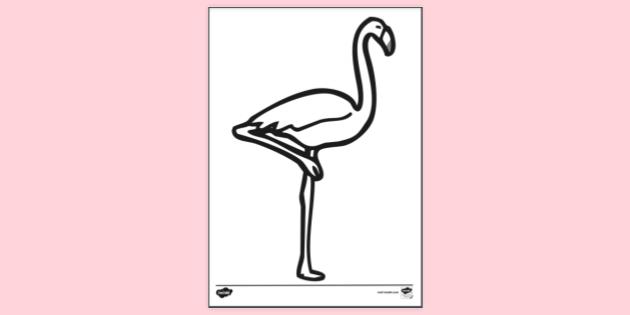 Printable Flamingo Colouring Colouring Sheets