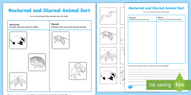 Nocturnal Animals and Diurnal Animals Worksheet | Primary