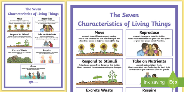 characteristics-of-living-things-display-poster