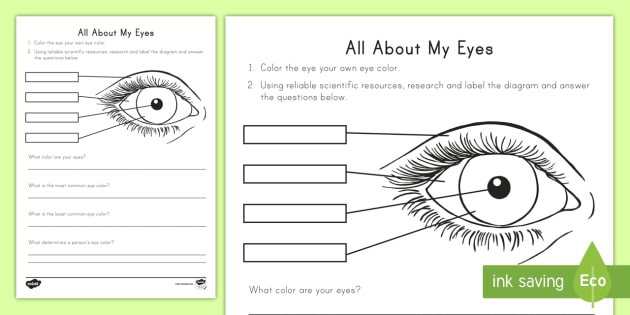 All About My Eyes Science Activity - all about me, my eyes, eye