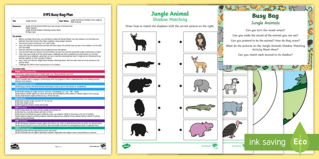 animals that live in the jungle eyfs