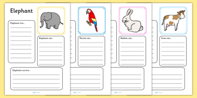 Animal Fact File Worksheets - Primary Resource